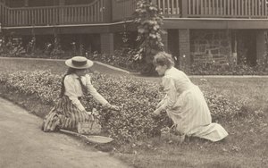 Ein Blumenbeet in Oaklawn von Alfred Stieglitz
