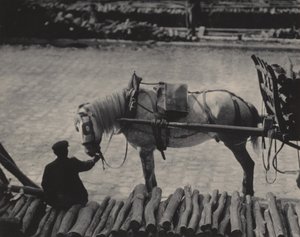 Ein Schnappschuss, Paris von Alfred Stieglitz