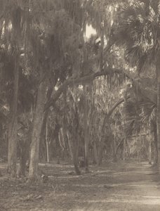 In Rockledge, Florida