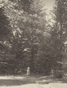  von Alfred Stieglitz