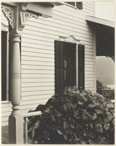 Haus und Weinblätter von Alfred Stieglitz