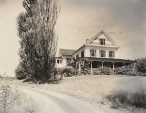 Haus und Pappeln, Lake George von Alfred Stieglitz
