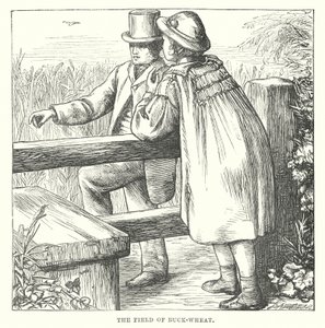 Hans Christian Andersen: Der Buchweizen