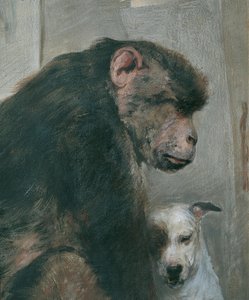 Affe und Hund