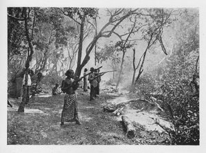 Elefanten-Kraaling in Ceylon in Richtung des Geheges, ca. 1890, 1910