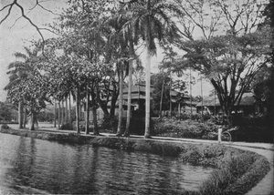 Kandy - Eine malerische Ecke des Sees, um 1890, 1910 von Alfred William Amandus Plate