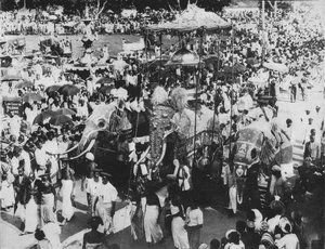 Heiliger Elefant in der Perahera-Prozession, Kandy, Ceylon, um 1890, 1910