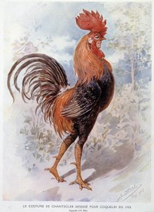 Chanteclers Hahn-Kostüm, entworfen für Constant Poppy im Jahr 1908, Stück in Versen von Edmond Rostand von Alfredo Edel
