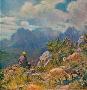 Weiden in den Apuanischen Alpen
