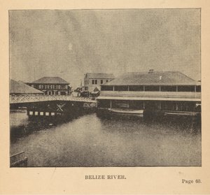 Belize-Fluss von Alice Dixon Le Plongeon