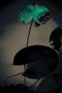Smaragdfrühling, aus der Serie Frühling