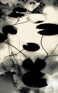 Goldstaubschatten, aus der Serie Frühling