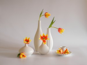  von Alice Sheng