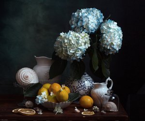 Blaue Hortensien und Zitronen