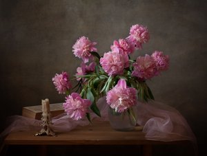 Pinke Pfingstrose Stillleben