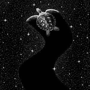 Kosmische Meeresschildkröte von Alirıza ÇAKIR