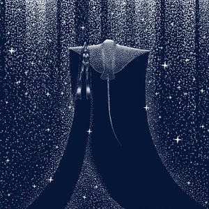 Sternen-Ozeantaucher