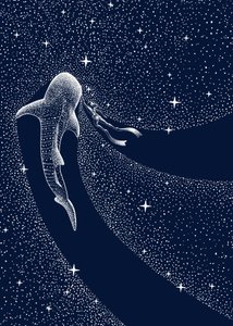 Walhai-Kosmische Reise von Alirıza ÇAKIR