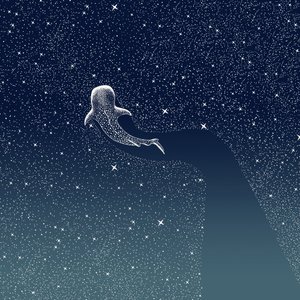 Walhai-Galaxie von Alirıza ÇAKIR