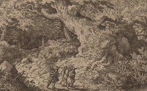 Ein dichter Wald, wahrscheinlich ca. 1645-1656 von Allart van Everdingen