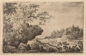 Ast im Wasser von Allart van Everdingen