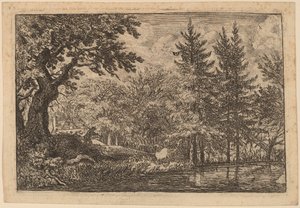 Tannen am Wasser von Allart van Everdingen