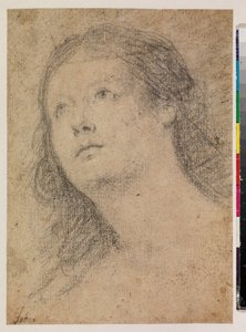 Kopf einer Frau, die nach oben schaut (recto) von Alonso Miguel de Tovar