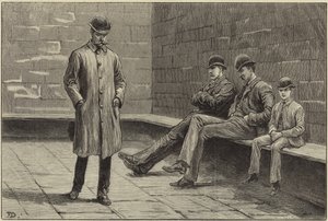 Der Zustand Irlands von Aloysius O