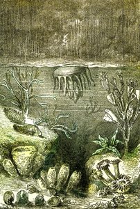Prähistorie-Erde und Meere: Der Beginn des Silurischen Zeitraums (Zeichnung von Demarle. 1885) von Alphonse Demarle