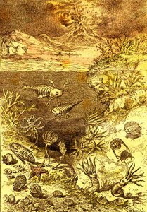 Urgeschichte-Ende des Silurischen Zeitraums: Natürliche Schöpfung und Lebewesen (J. Rengade) Zeichnung A. Demarle. 1885 von Alphonse Demarle