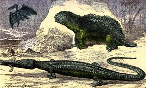 Urgeschichte - Jura-Periode: Der Teleosaurier und der Hyleosaurier. Der Pterodaktylus oben. Natürliche Schöpfung und Lebewesen. Zeichnung von A. Demarle. 1885