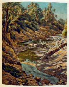 Illustration von Dinet aus 