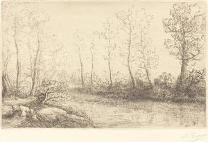 Birken: Wasserrand im Morgenlicht von Alphonse Legros