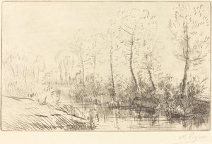Birkenbäume: Wasserrand im Morgenlicht von Alphonse Legros