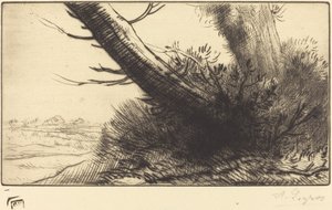 Ecke eines Pfades von Alphonse Legros