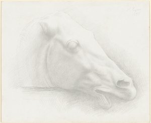 Kopf eines Pferdes vom Parthenon, 1898 von Alphonse Legros