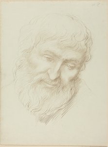 Kopf eines Mannes von Alphonse Legros