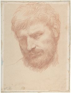 Kopf eines Mannes von Alphonse Legros