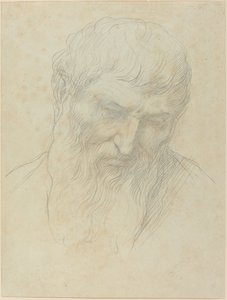 Kopf eines Mannes mit lockigem Haar und Bart von Alphonse Legros