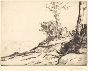 Hügel mit Büschen (La butte aux brousailles) von Alphonse Legros