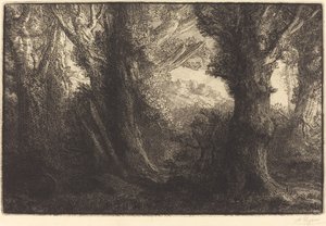 Im Wald von Conteville (Dans la forêt de Conteville)