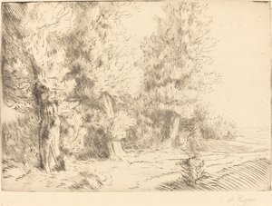 Im Wald von Fontainebleau