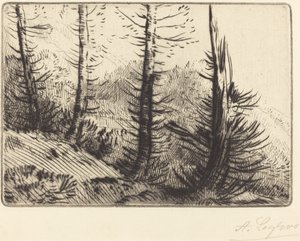 In den Pyrenäen von Alphonse Legros