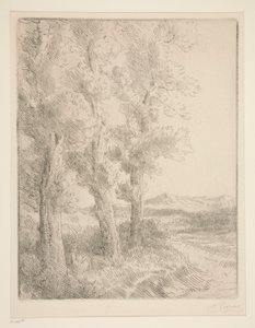 Die Leserin: Lektion unter den Bäumen von Alphonse Legros