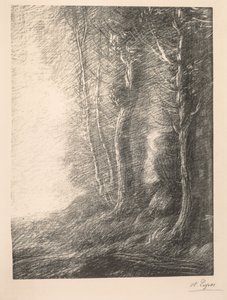 Landschaft
