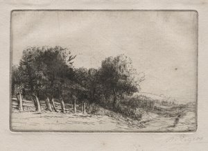 Landschaft