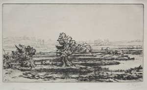 Landschaft