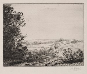 Landschaft