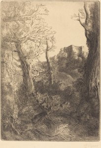 Landschaft