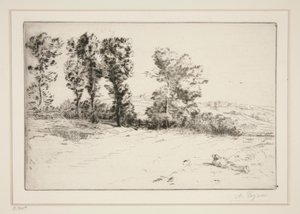 Le pré ensoleillé (Wiese im Sonnenschein) von Alphonse Legros